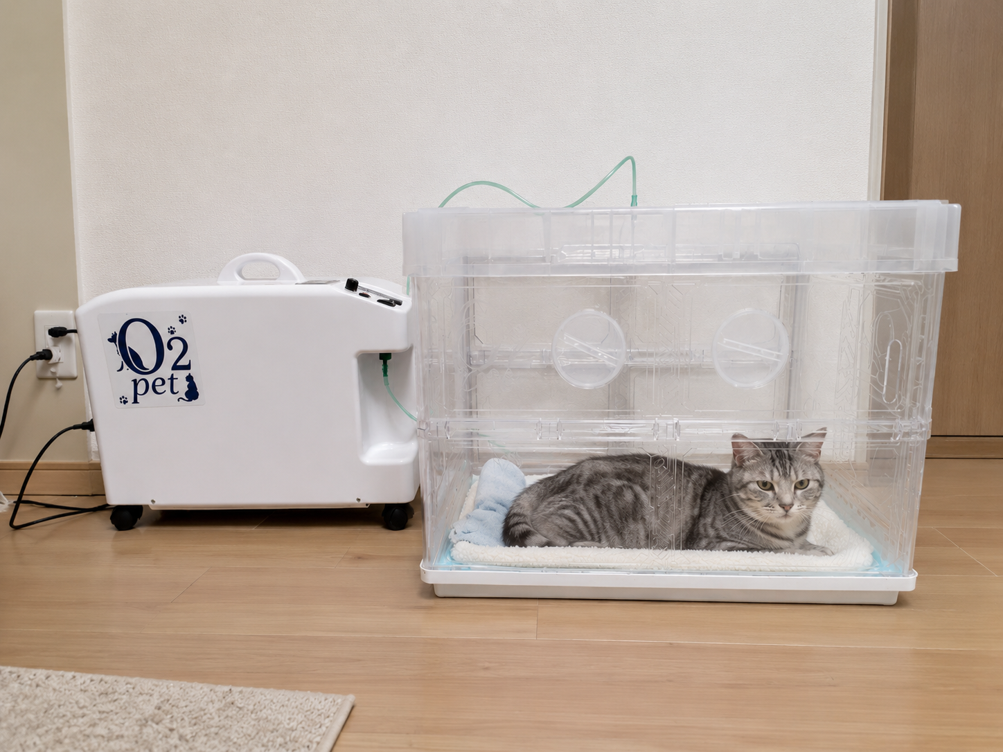 1ヶ月プランのケージ