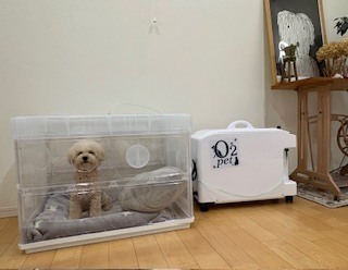 わんちゃんの利用事例1
