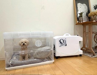 わんちゃんの利用事例6