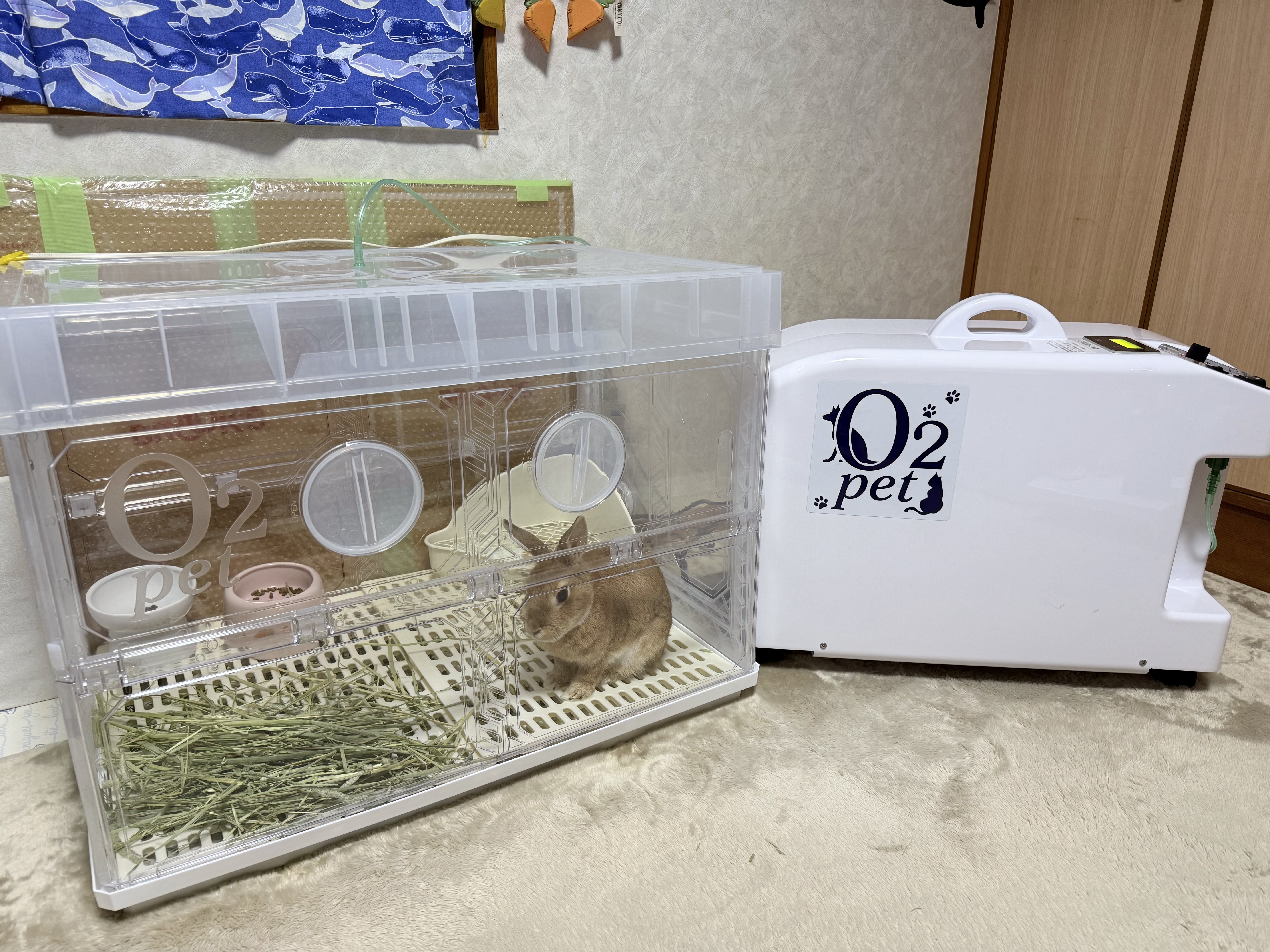 その他の利用事例4