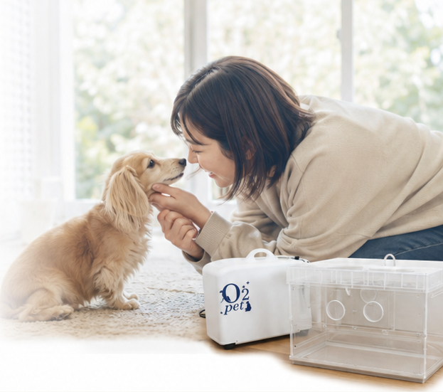 酸素室のそばで愛犬に寄り添う飼い主